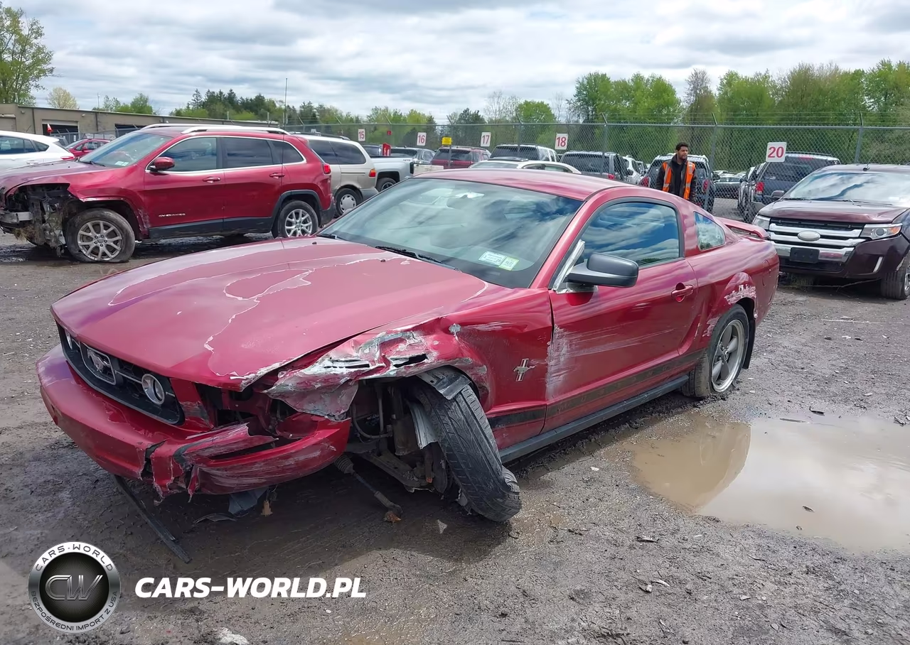 2006 Ford Mustang V6 VIN:1ZVFT80N065155863 - 6