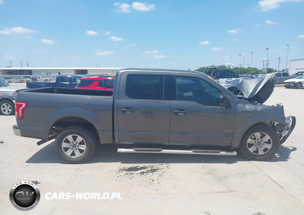2016 Ford F-150 Xlt VIN:1FTEW1CP3GFB19204 - 14