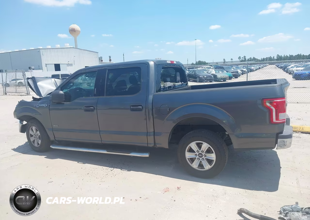 2016 Ford F-150 Xlt VIN:1FTEW1CP3GFB19204 - 15