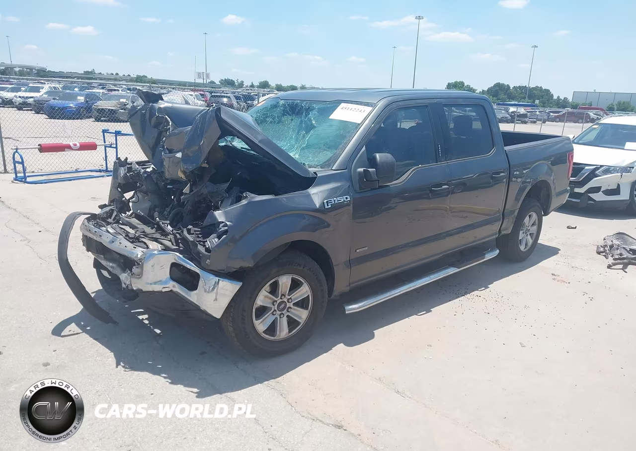 2016 Ford F-150 Xlt VIN:1FTEW1CP3GFB19204 - 2