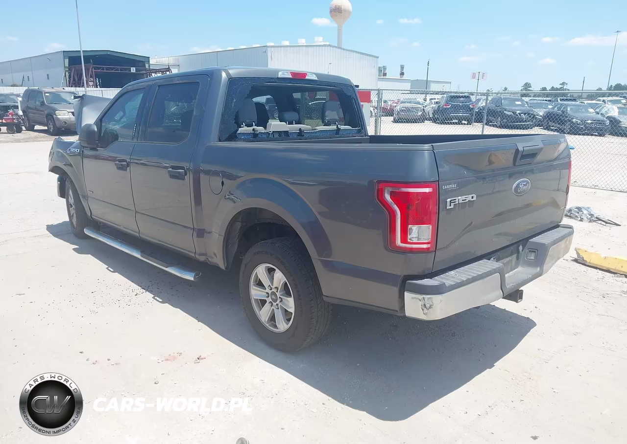 2016 Ford F-150 Xlt VIN:1FTEW1CP3GFB19204 - 3