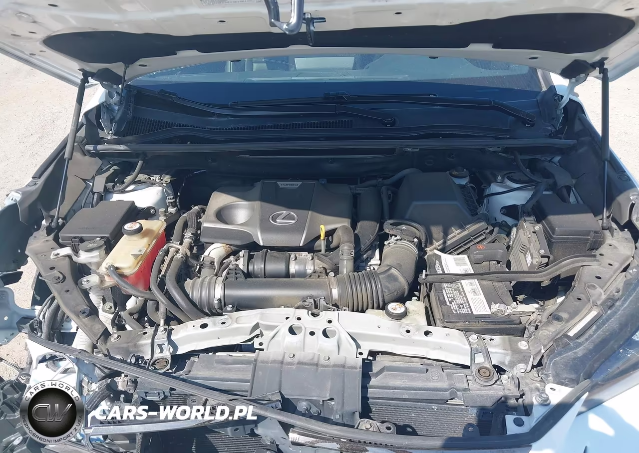 2019 Lexus Nx 300 F Sport VIN:JTJYARBZ5K2134992 - 10
