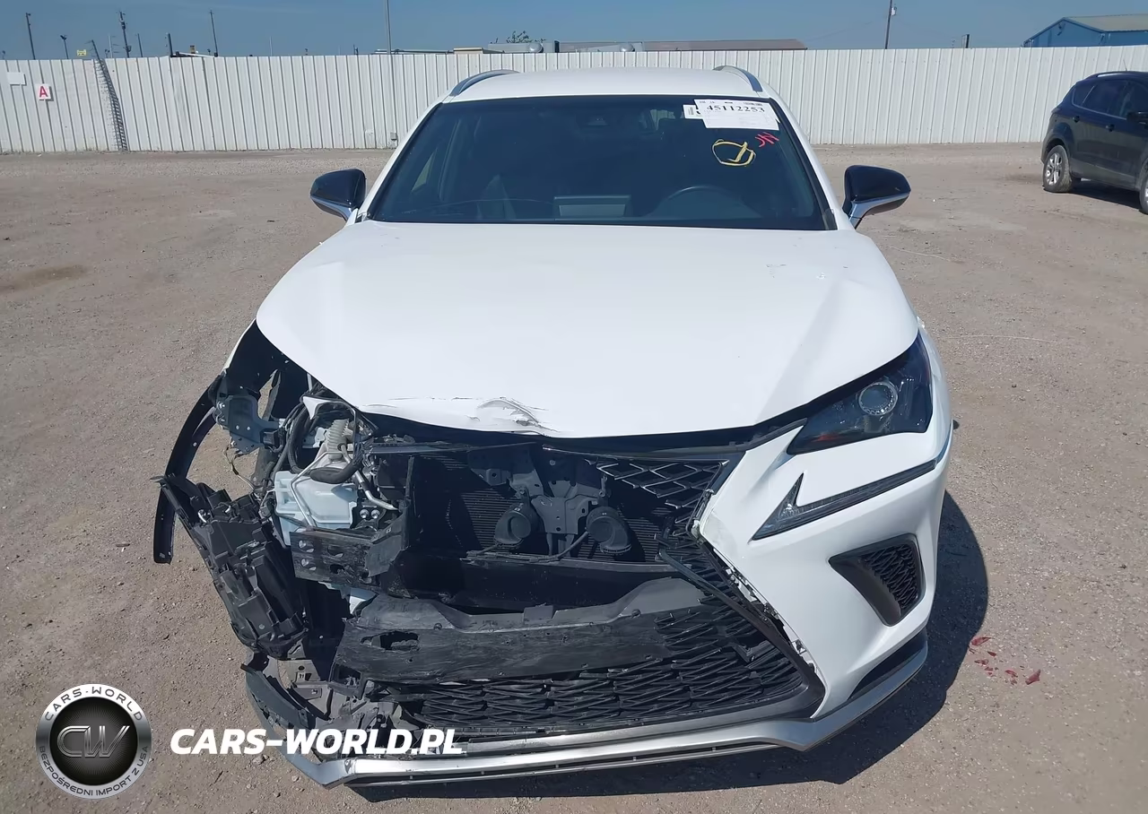 2019 Lexus Nx 300 F Sport VIN:JTJYARBZ5K2134992 - 12