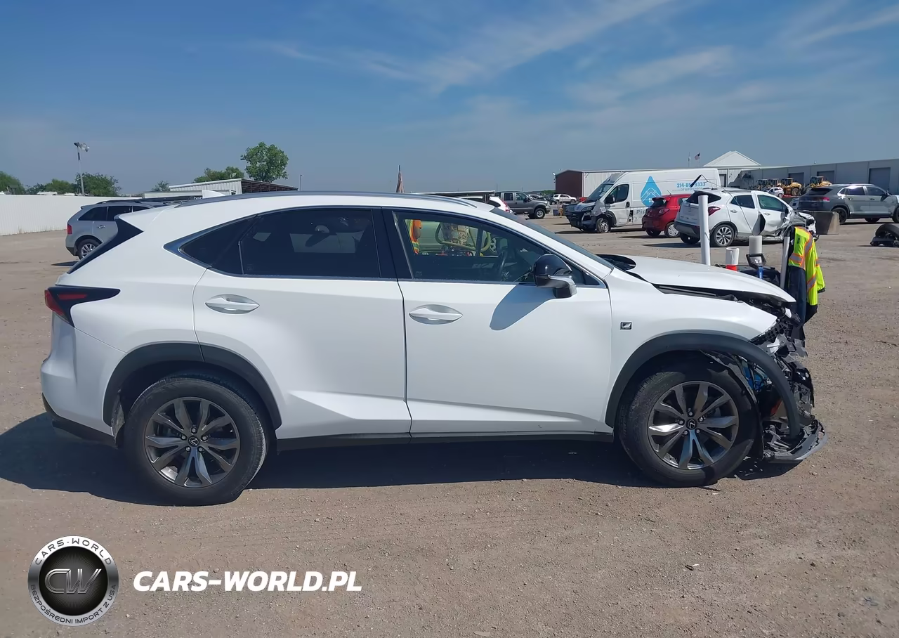 2019 Lexus Nx 300 F Sport VIN:JTJYARBZ5K2134992 - 13