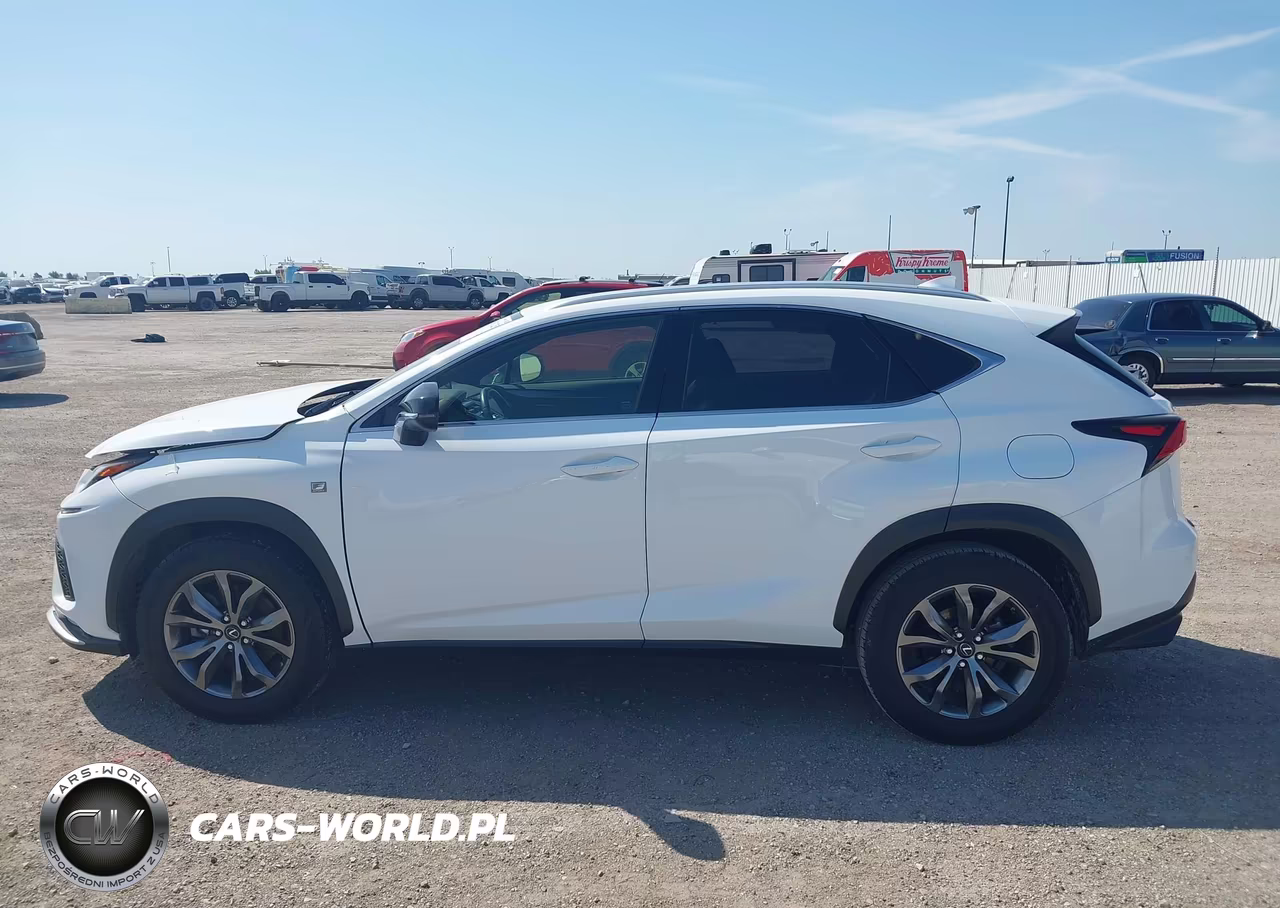 2019 Lexus Nx 300 F Sport VIN:JTJYARBZ5K2134992 - 14