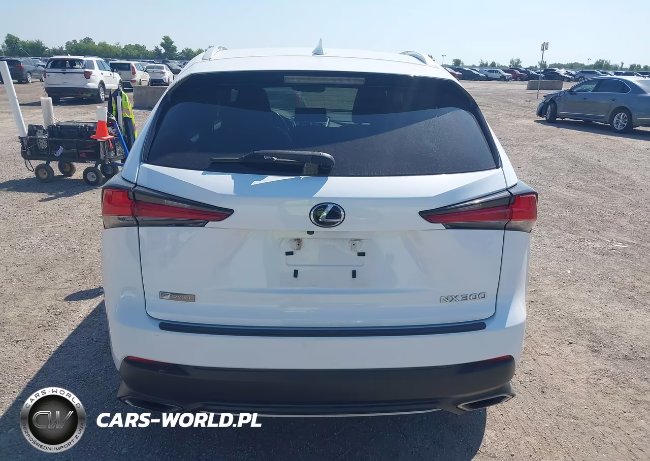 2019 Lexus Nx 300 F Sport VIN:JTJYARBZ5K2134992 - 16
