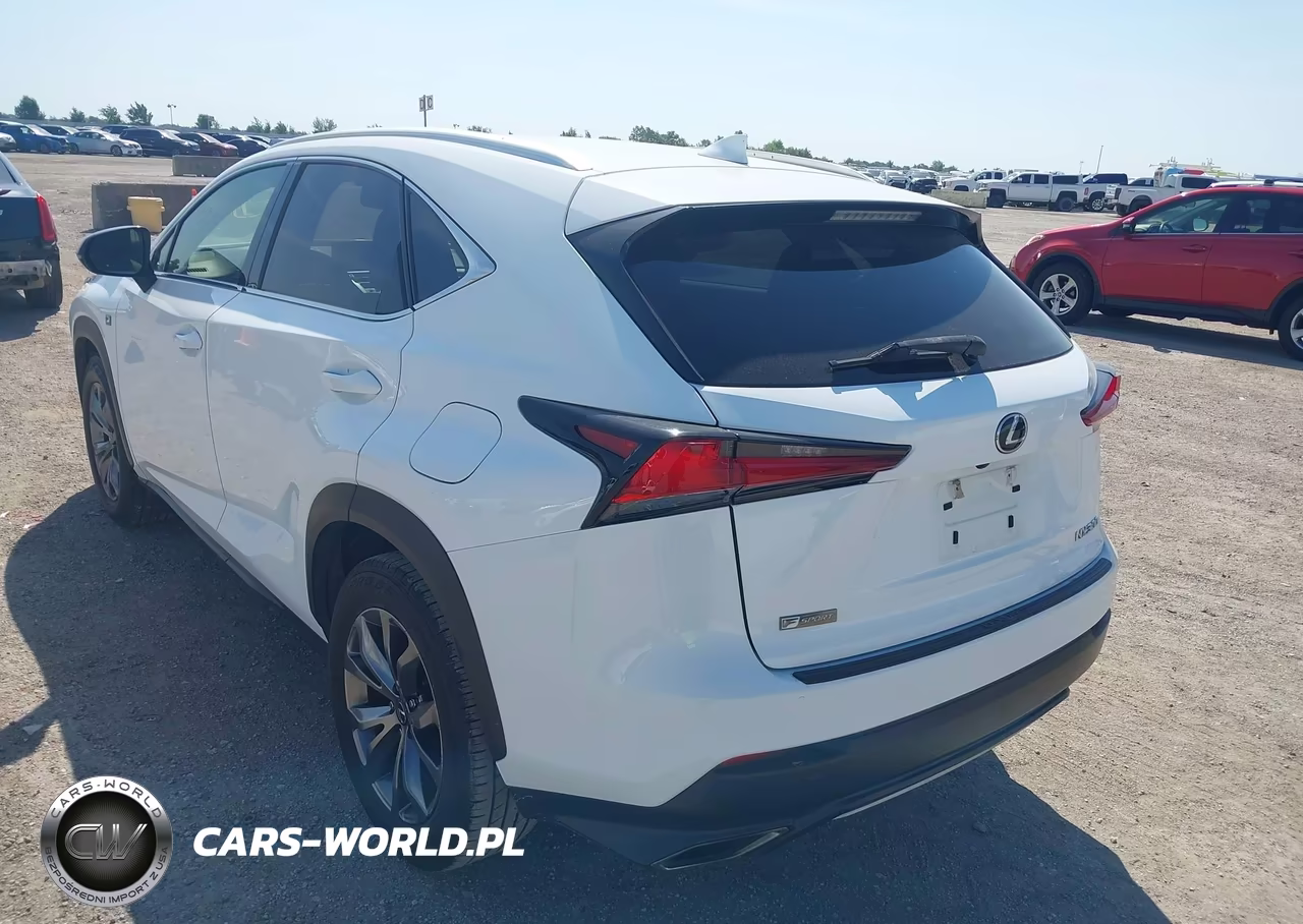 2019 Lexus Nx 300 F Sport VIN:JTJYARBZ5K2134992 - 3