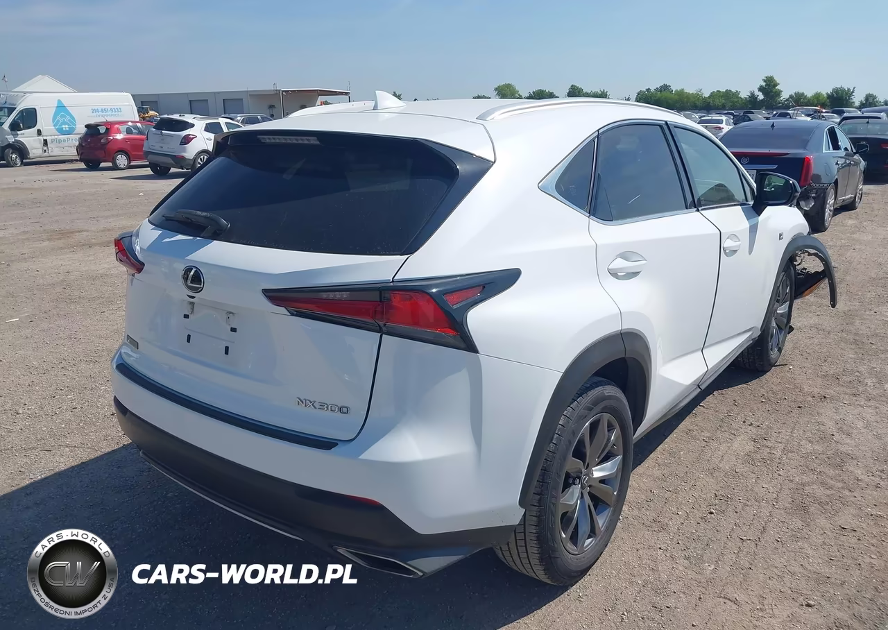 2019 Lexus Nx 300 F Sport VIN:JTJYARBZ5K2134992 - 4
