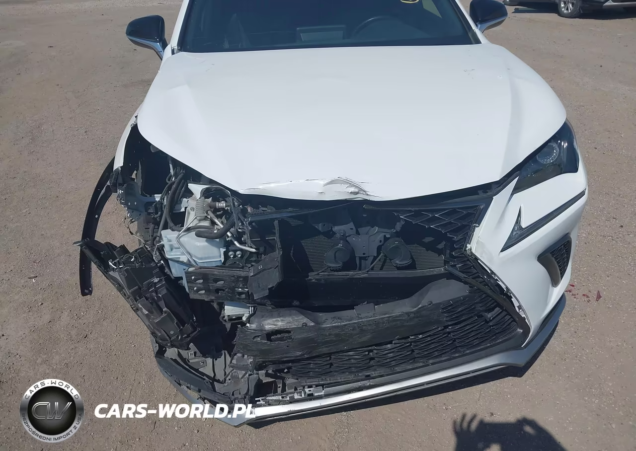 2019 Lexus Nx 300 F Sport VIN:JTJYARBZ5K2134992 - 6