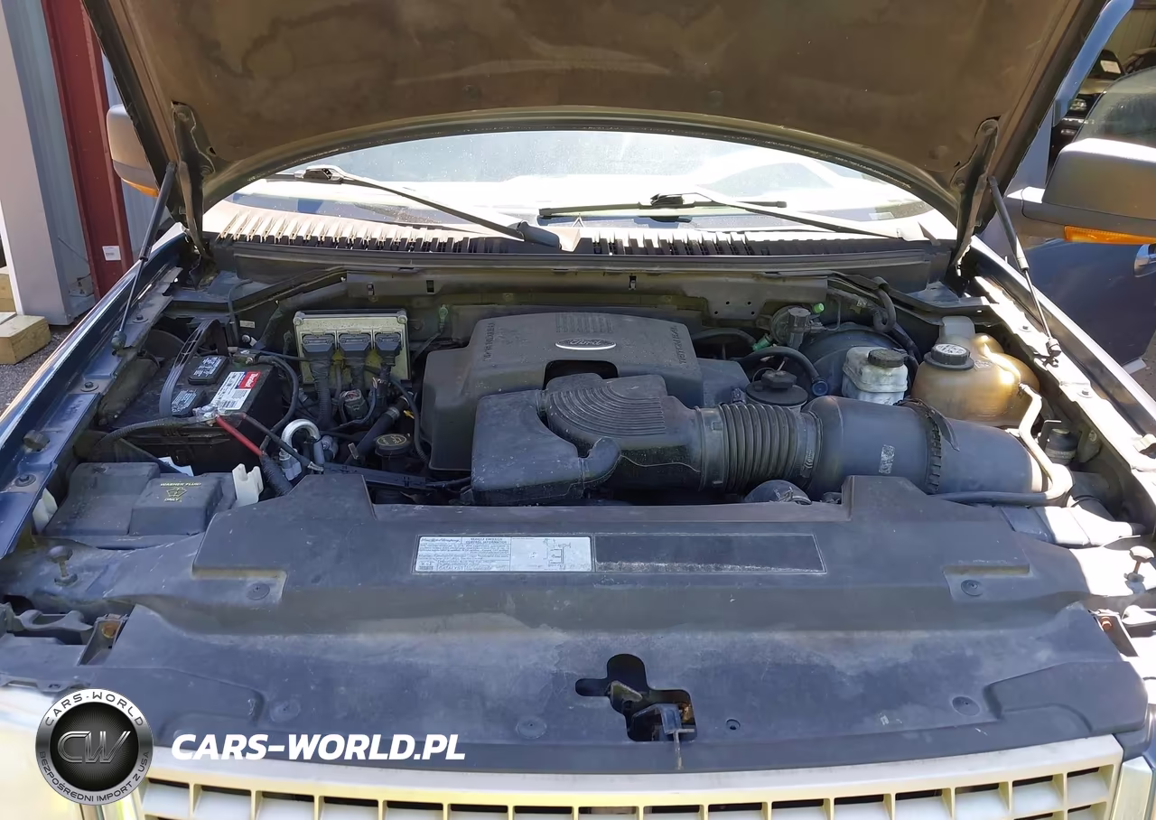 2003 Ford Expedition Eddie Bauer VIN:1FMFU18L43LB78219 - 10