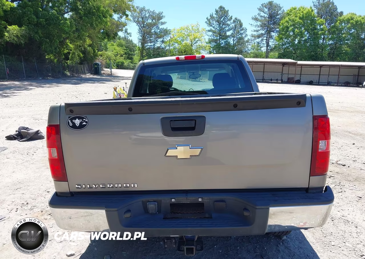 2008 Chevrolet Silverado 1500 Work Truck VIN:1GCEC19X08Z213735 - 17
