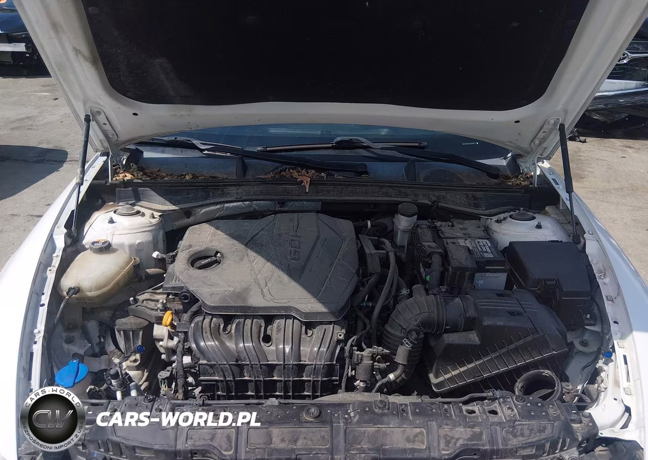 2020 Hyundai Sonata Sel VIN:5NPEF4JA1LH024592 - 10
