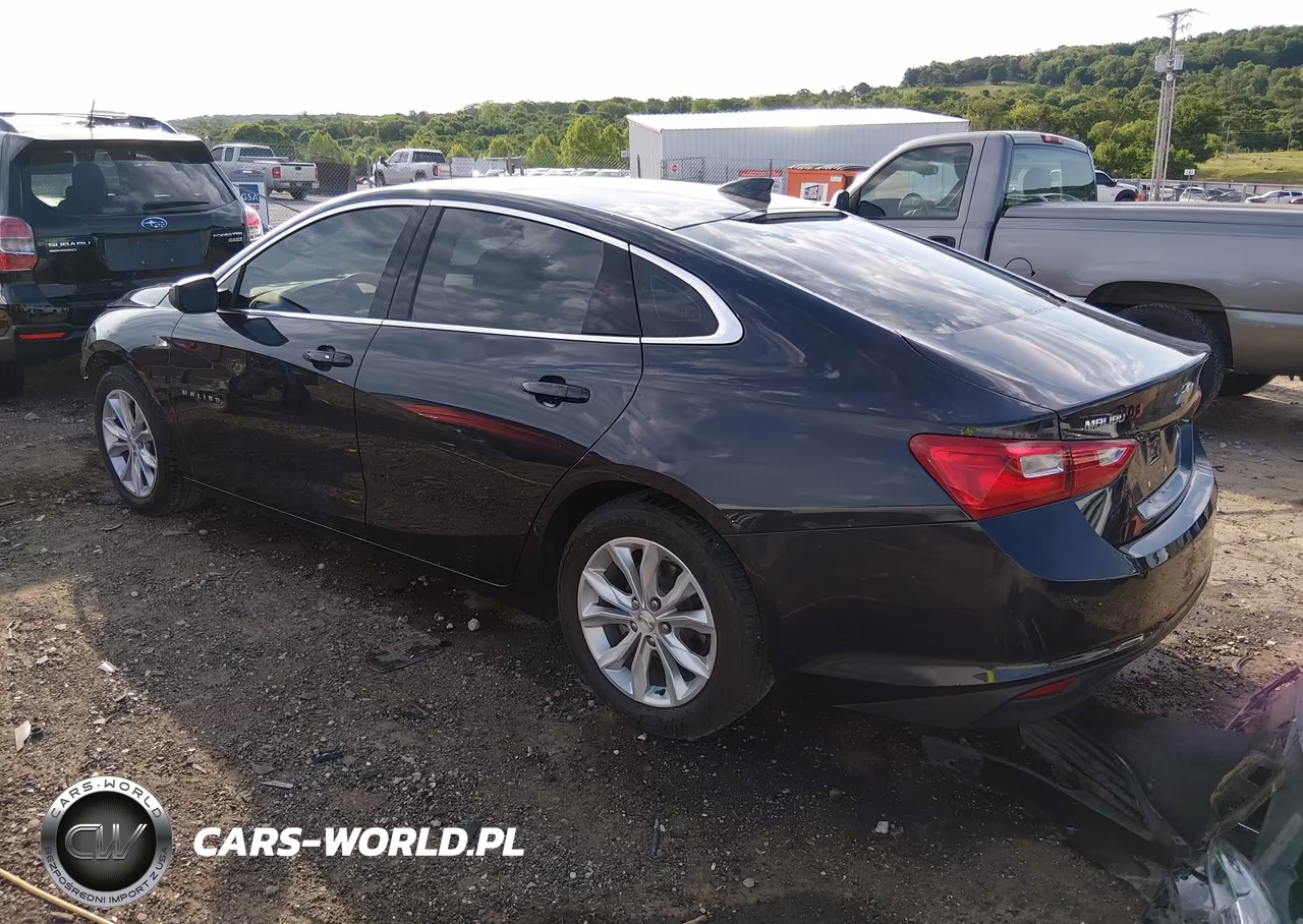 2023 Chevrolet Malibu Fwd 1Lt VIN:1G1ZD5ST4PF122456 - 3