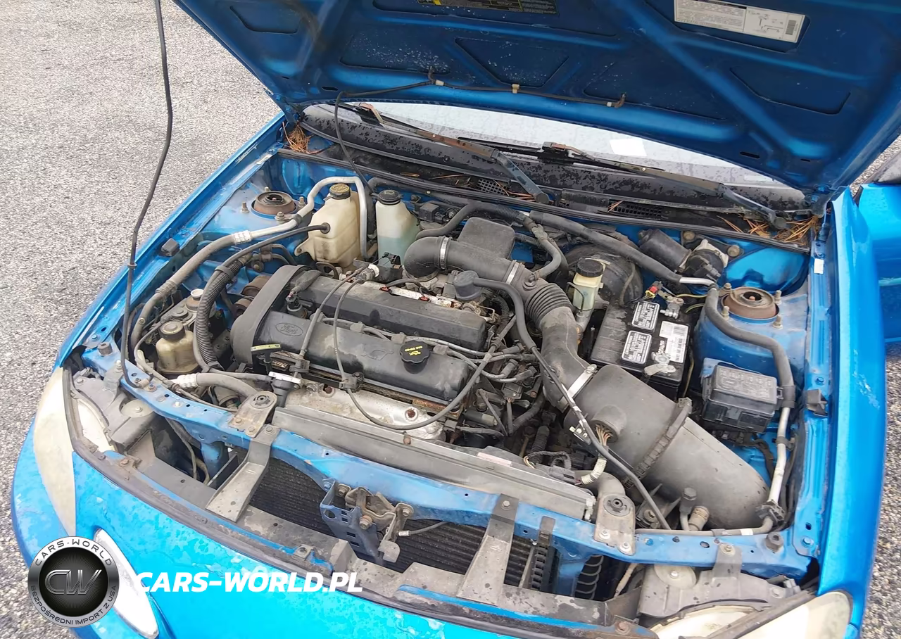 2002 Ford Escort Zx2 VIN:3FAFP11312R224018 - 10