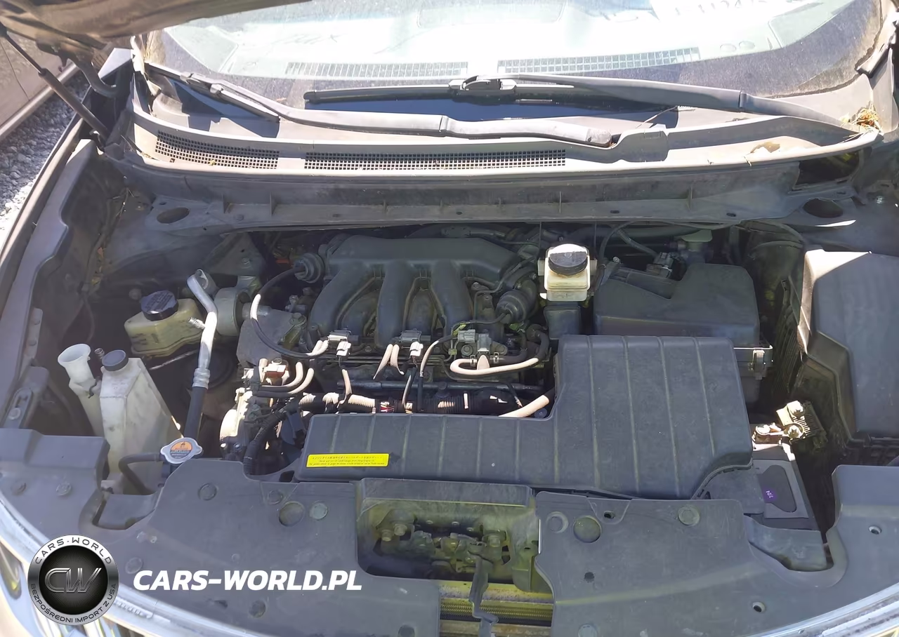 2009 Nissan Murano S VIN:JN8AZ18W89W203533 - 10
