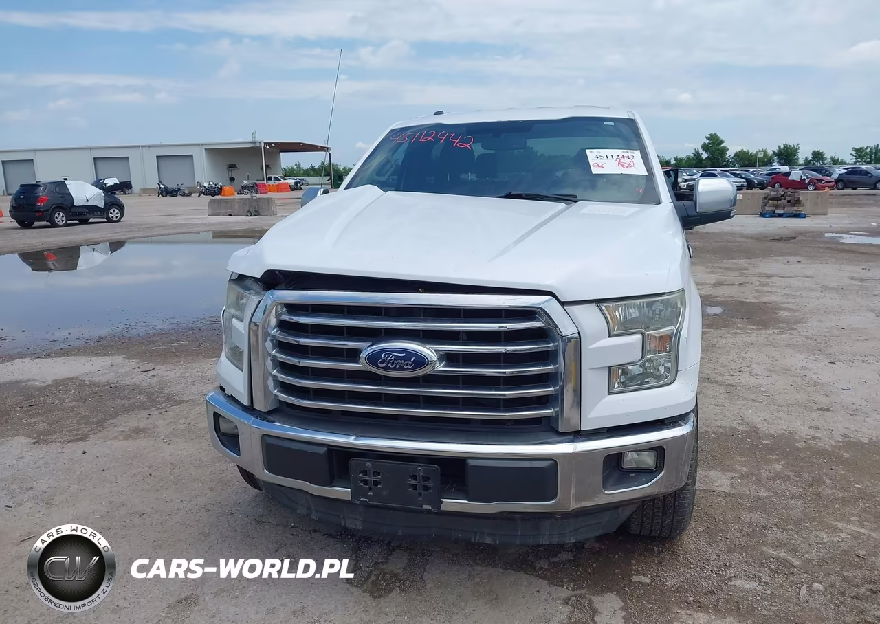 2015 Ford F-150 Xlt VIN:1FTEW1EP4FKD47733 - 12