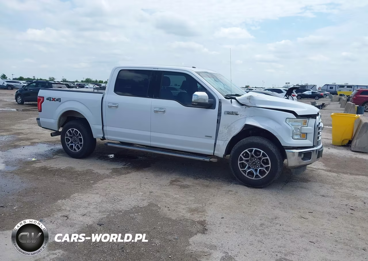 2015 Ford F-150 Xlt VIN:1FTEW1EP4FKD47733 - 13