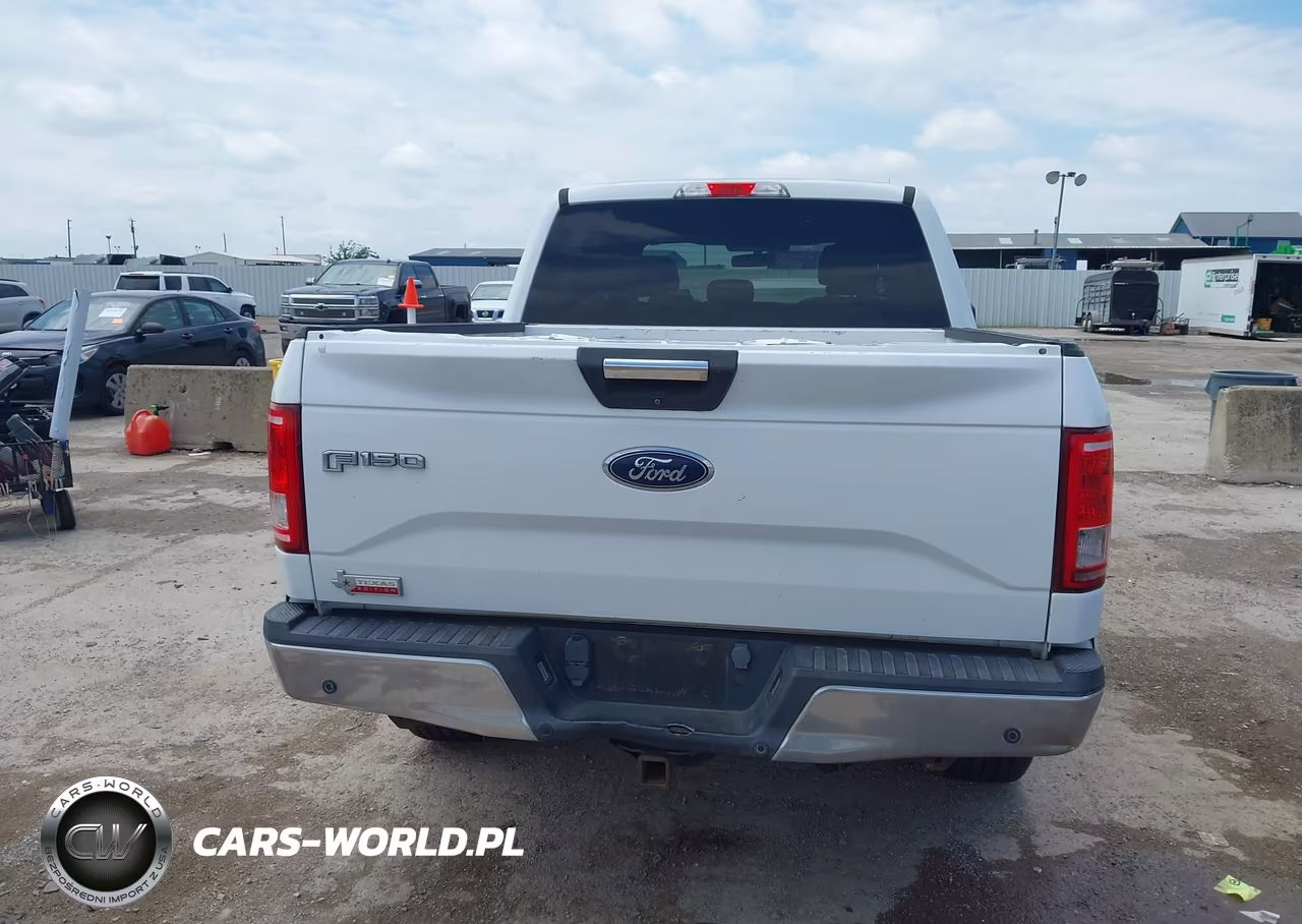 2015 Ford F-150 Xlt VIN:1FTEW1EP4FKD47733 - 16