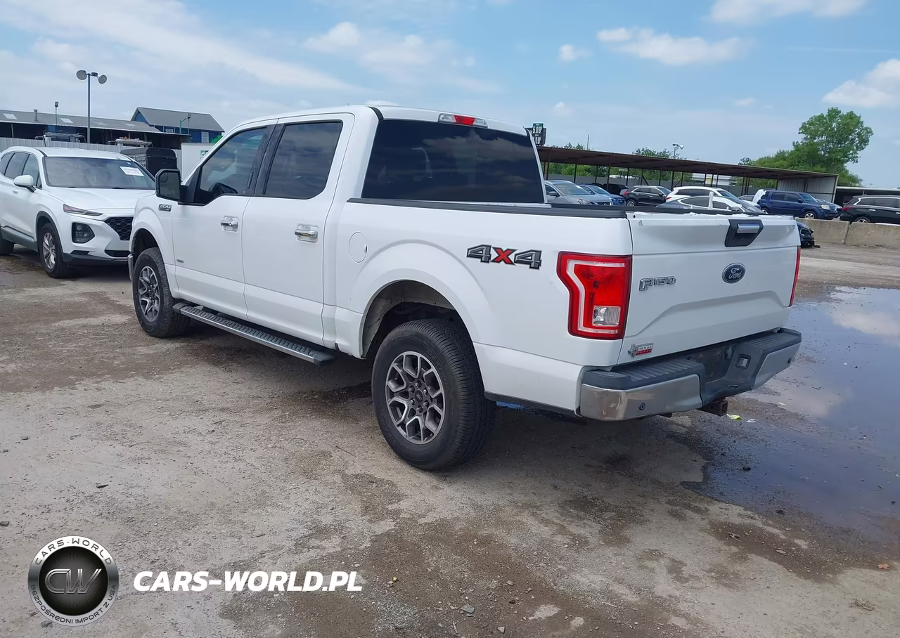 2015 Ford F-150 Xlt VIN:1FTEW1EP4FKD47733 - 3