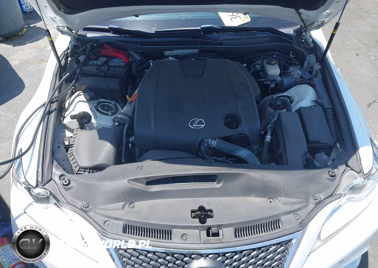 2014 Lexus Is 250 VIN:JTHBF1D28E5041929 - 10