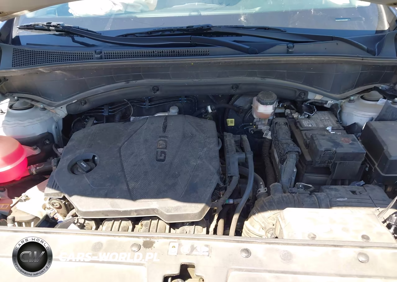 2023 Hyundai Santa Fe Sel VIN:5NMS24AJ6PH569592 - 10