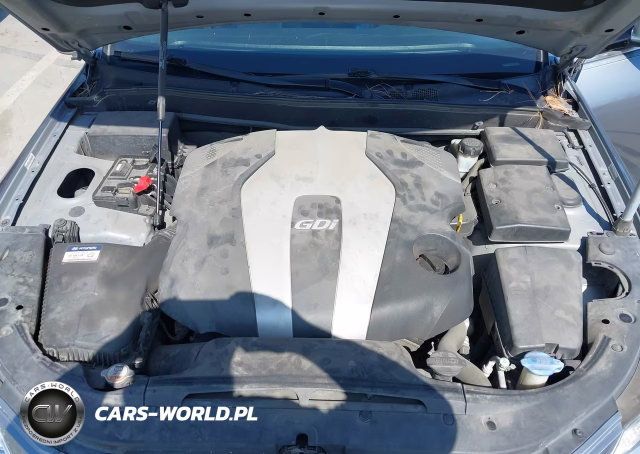2014 Hyundai Genesis 3.8 VIN:KMHGC4DD8EU263679 - 10