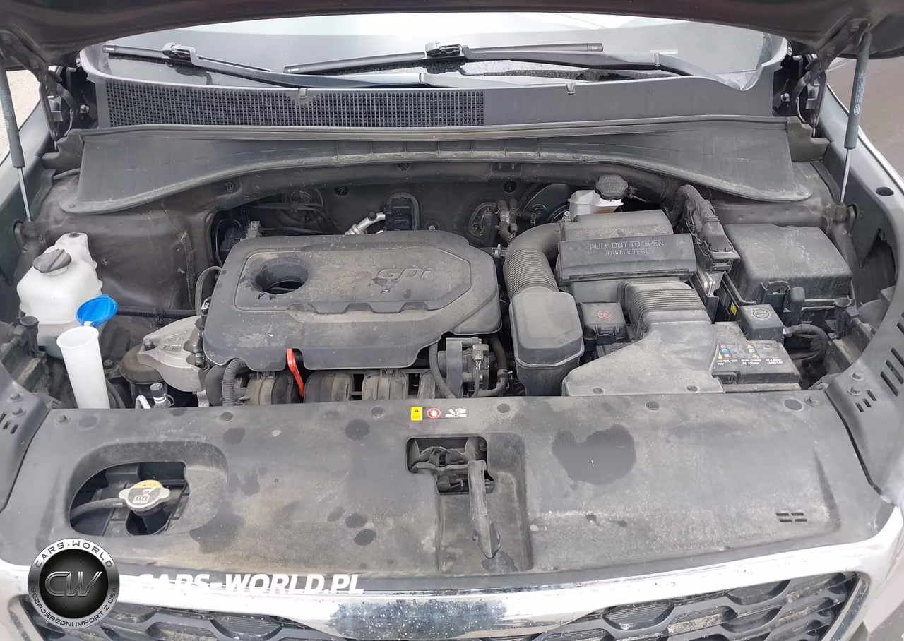 2019 Kia Sorento 2.4L Lx VIN:5XYPGDA35KG558854 - 10