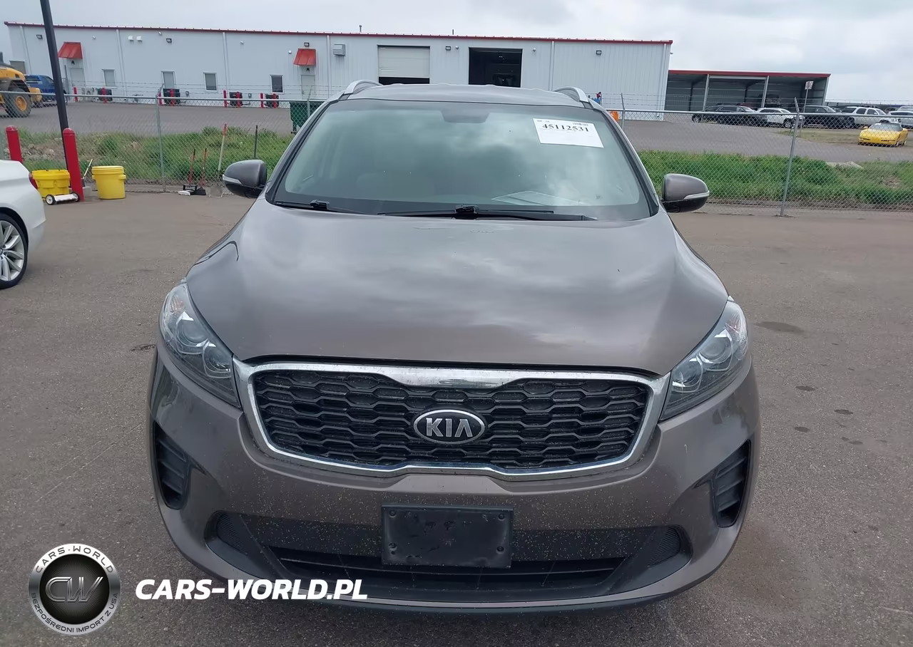 2019 Kia Sorento 2.4L Lx VIN:5XYPGDA35KG558854 - 12