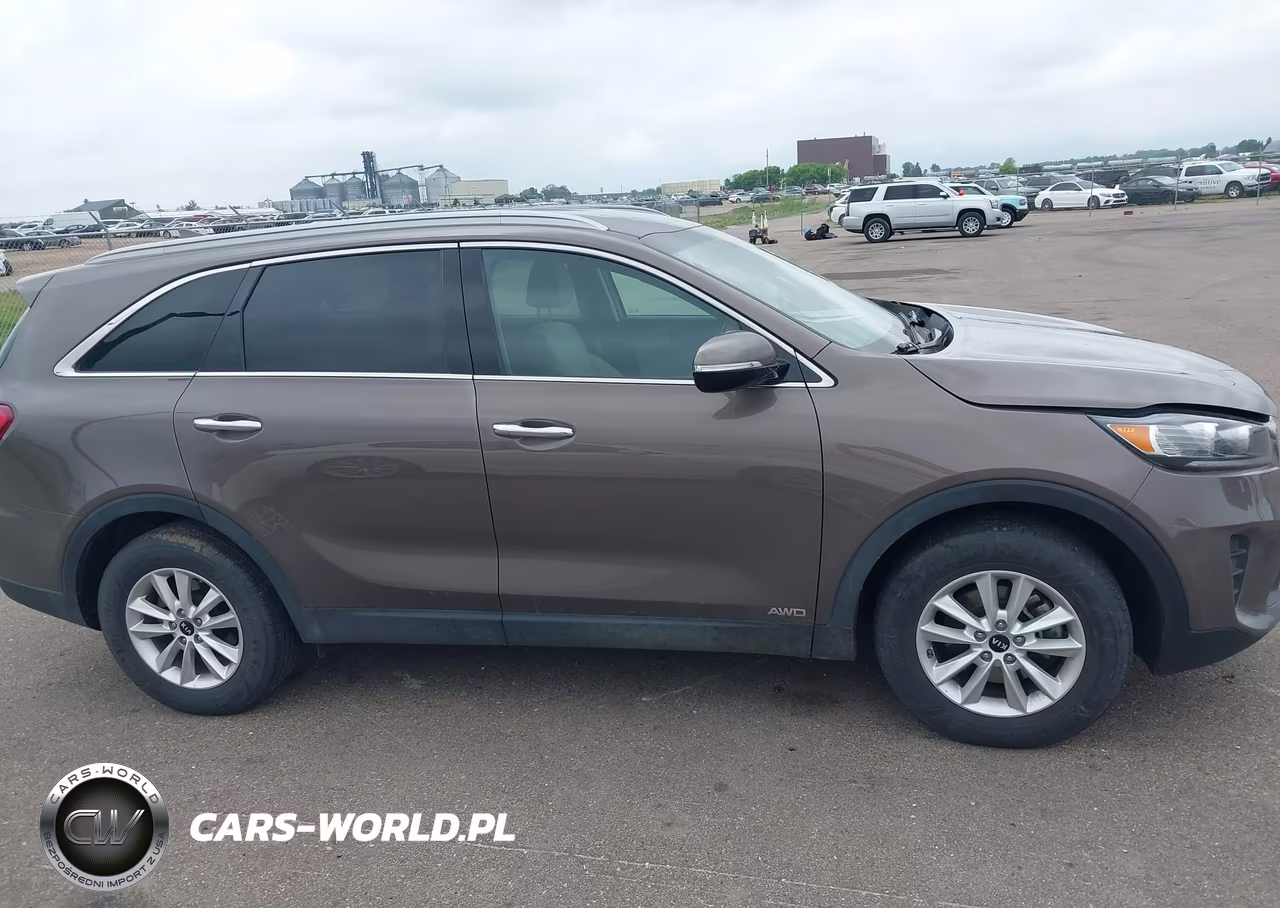2019 Kia Sorento 2.4L Lx VIN:5XYPGDA35KG558854 - 13