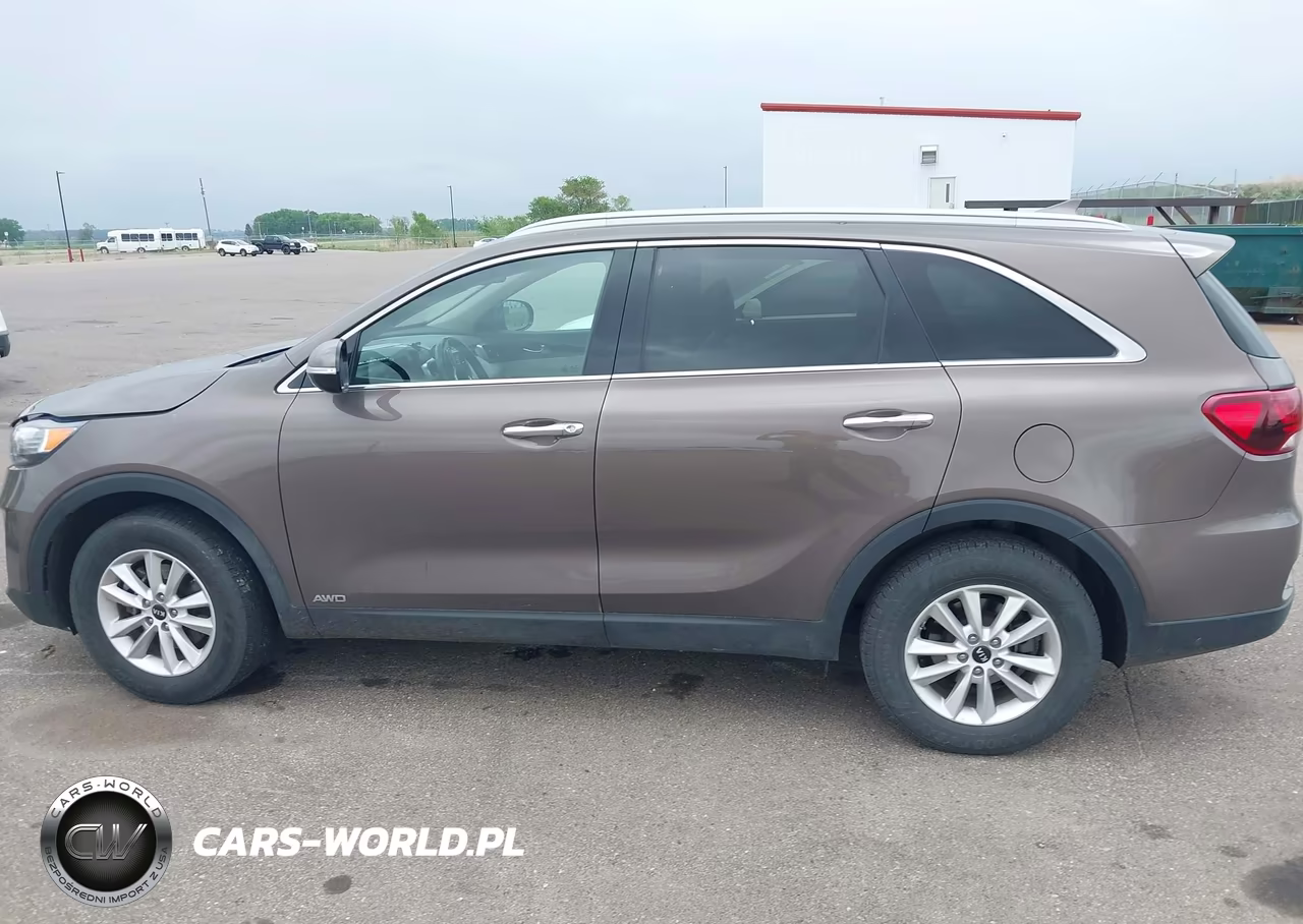 2019 Kia Sorento 2.4L Lx VIN:5XYPGDA35KG558854 - 14