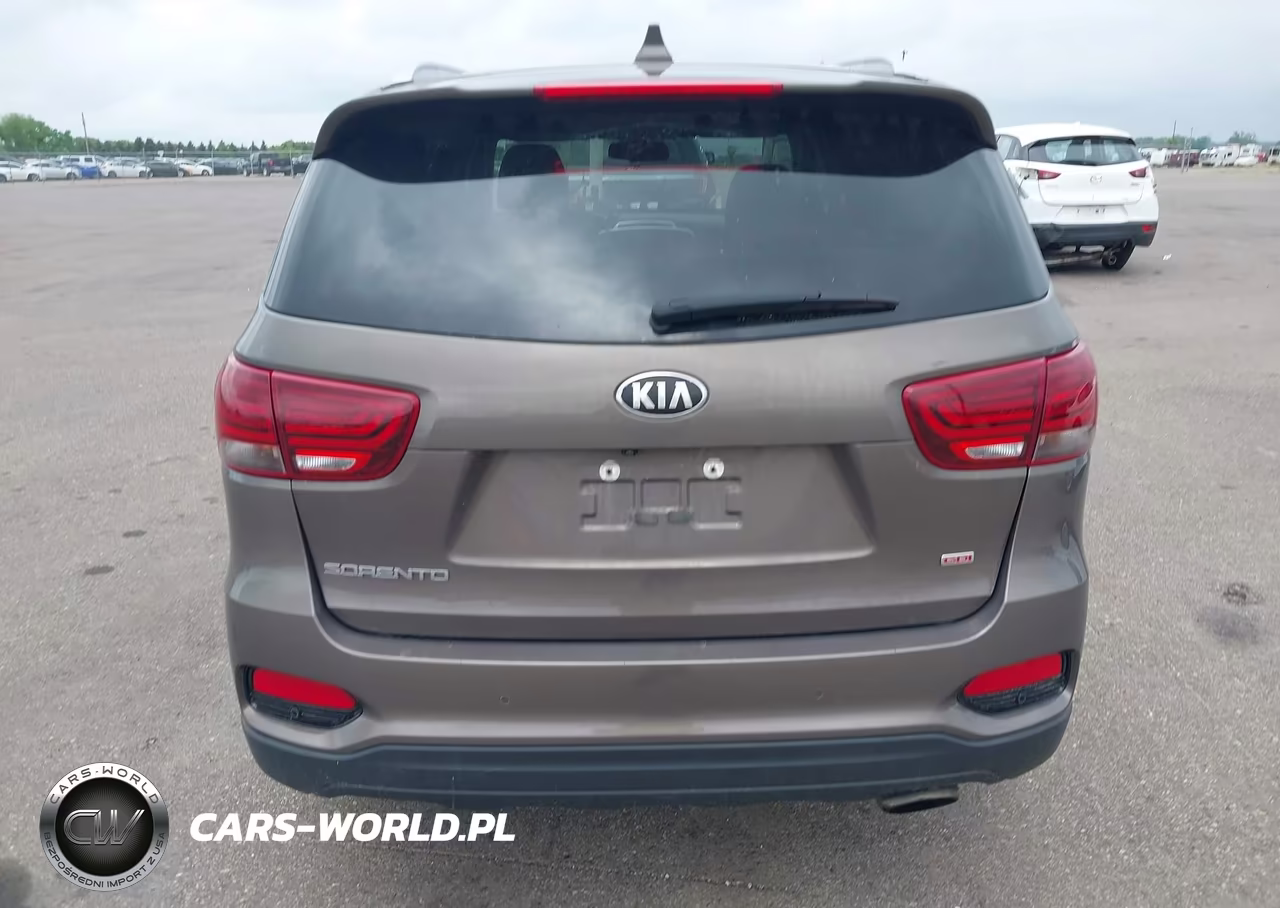 2019 Kia Sorento 2.4L Lx VIN:5XYPGDA35KG558854 - 16