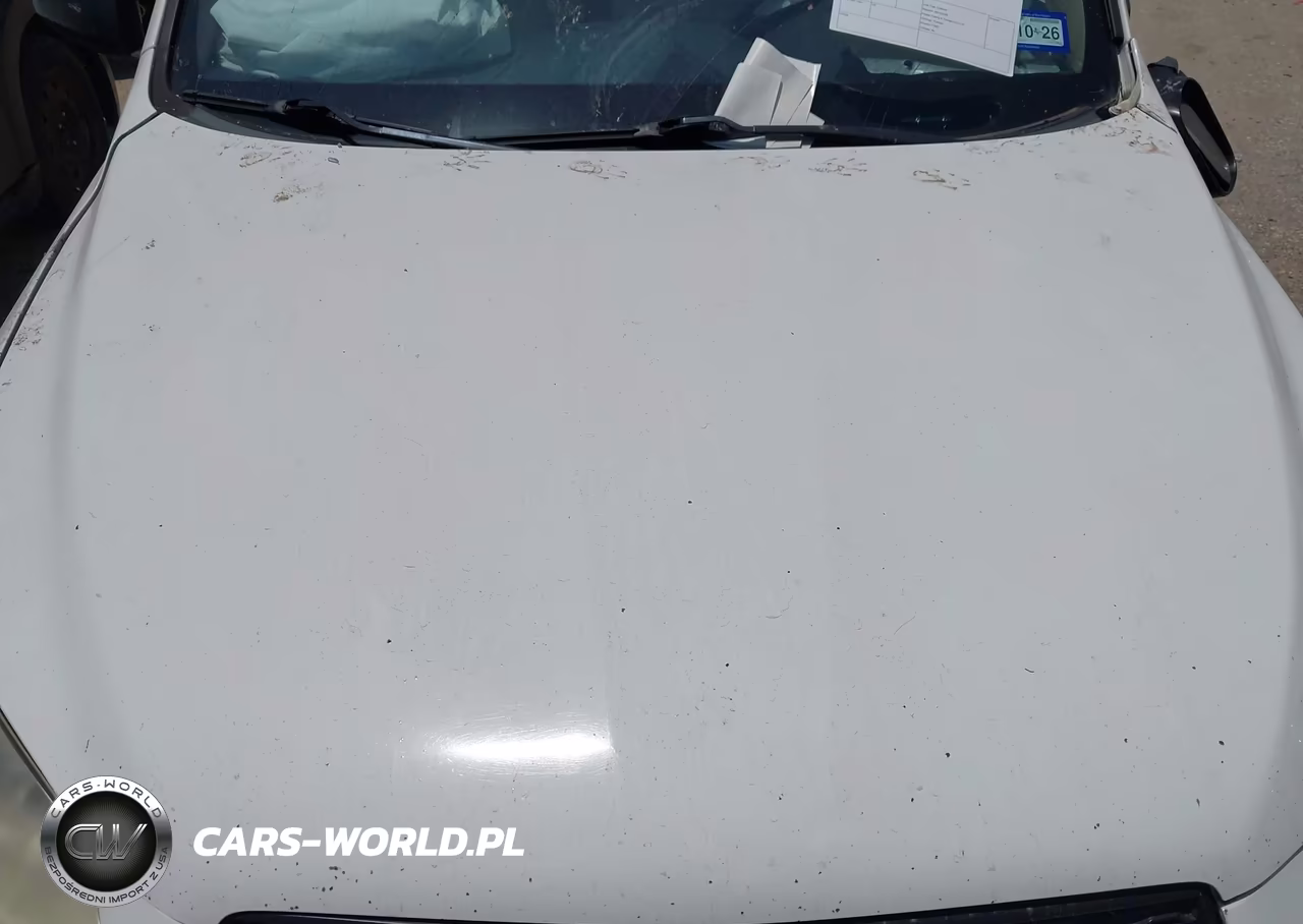 2010 Toyota Rav4 VIN:2T3ZF4DV0AW018658 - 10