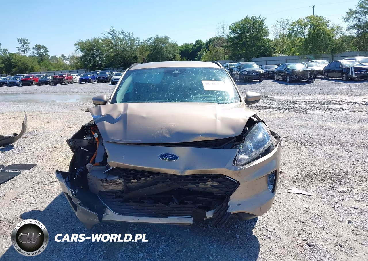 2021 Ford Escape Sel Hybrid VIN:1FMCU0CZ1MUA42537 - 13