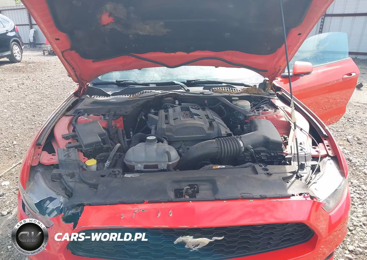 2016 Ford Mustang Ecoboost Premium VIN:1FATP8UH7G5281496 - 10