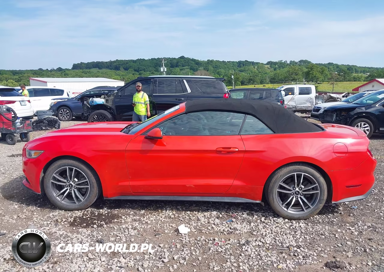 2016 Ford Mustang Ecoboost Premium VIN:1FATP8UH7G5281496 - 14