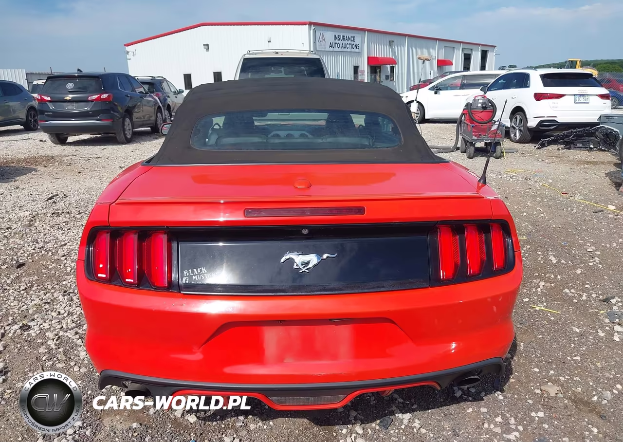 2016 Ford Mustang Ecoboost Premium VIN:1FATP8UH7G5281496 - 16