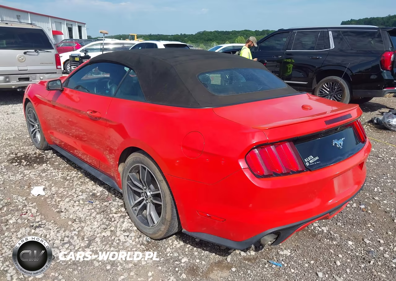 2016 Ford Mustang Ecoboost Premium VIN:1FATP8UH7G5281496 - 3