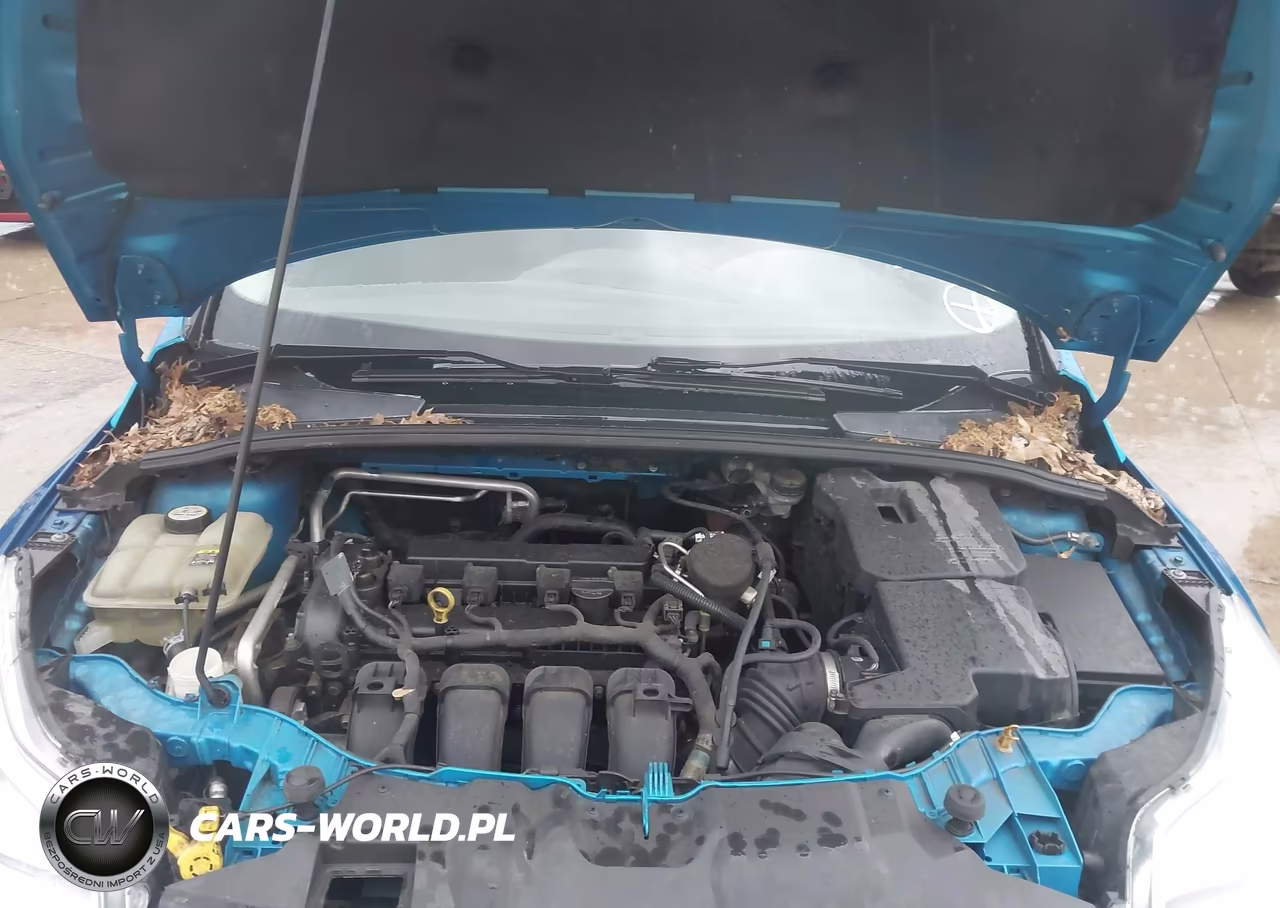 2012 Ford Focus Se VIN:1FAHP3F29CL114323 - 10