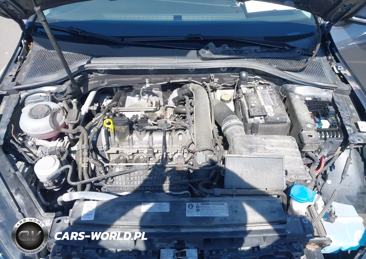 2019 Volkswagen Golf 1.4T S-1.4T Se VIN:3VWG57AU4KM013910 - 10