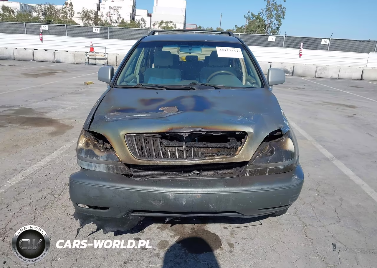 2001 Lexus Rx 300 VIN:JTJGF10U710118566 - 12