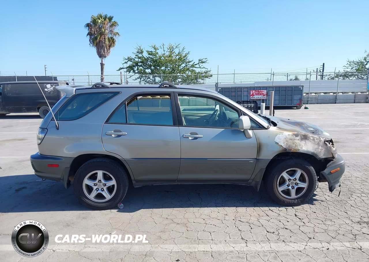 2001 Lexus Rx 300 VIN:JTJGF10U710118566 - 13