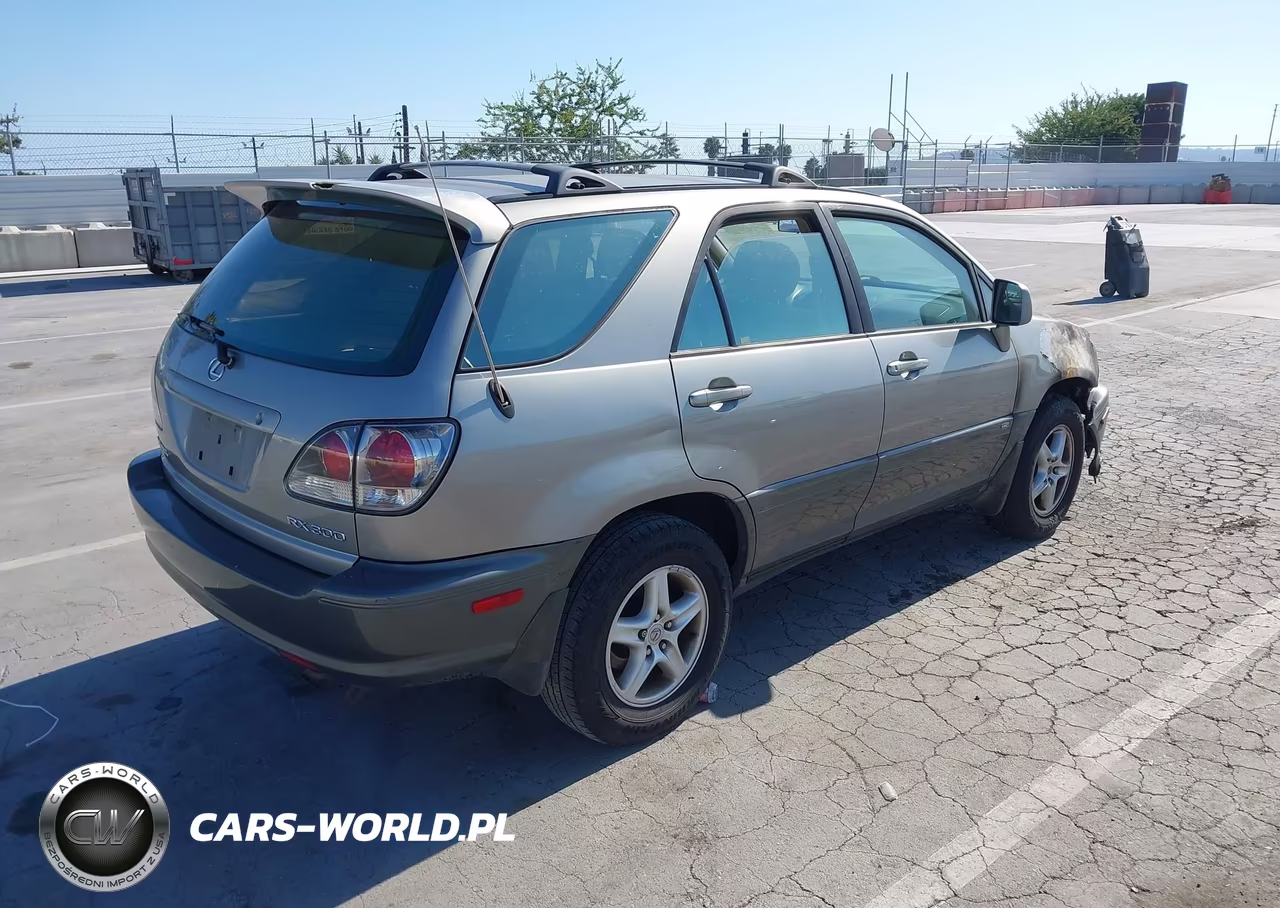 2001 Lexus Rx 300 VIN:JTJGF10U710118566 - 4
