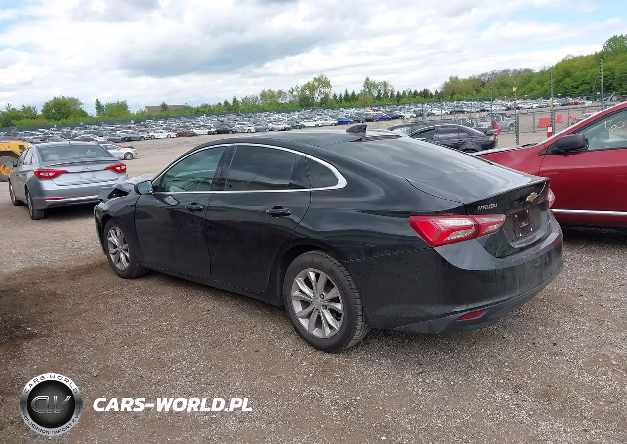 2019 Chevrolet Malibu Lt VIN:1G1ZD5ST4KF195447 - 3