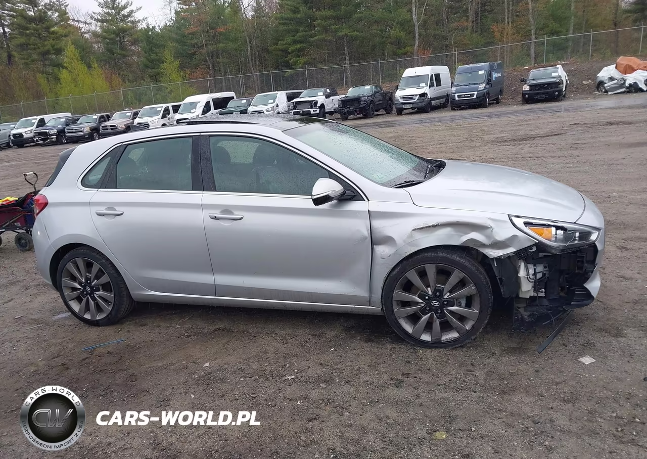 2018 Hyundai Elantra Gt Sport VIN:KMHH55LC6JU071412 - 13