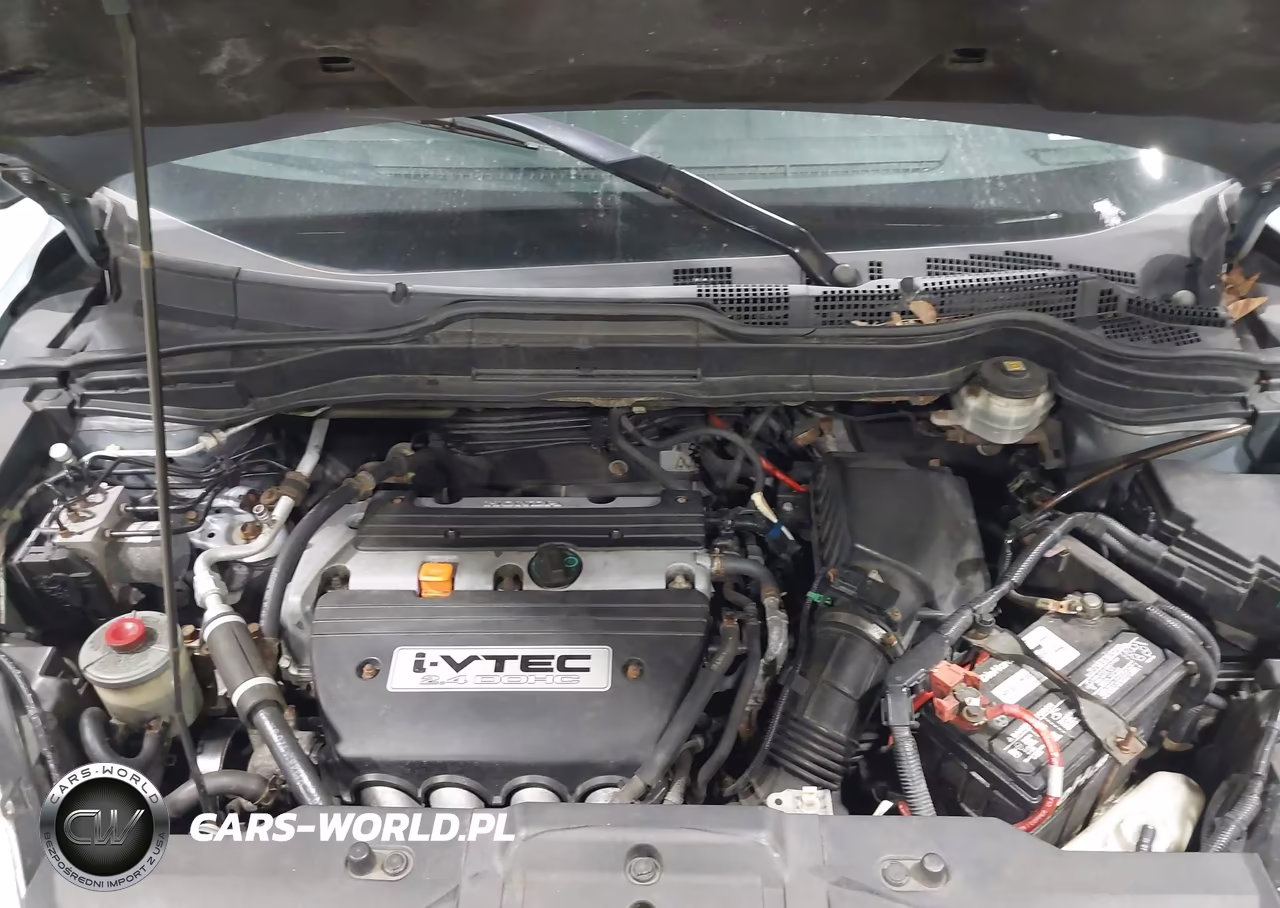 2009 Honda Cr-V Lx VIN:5J6RE48319L055898 - 10