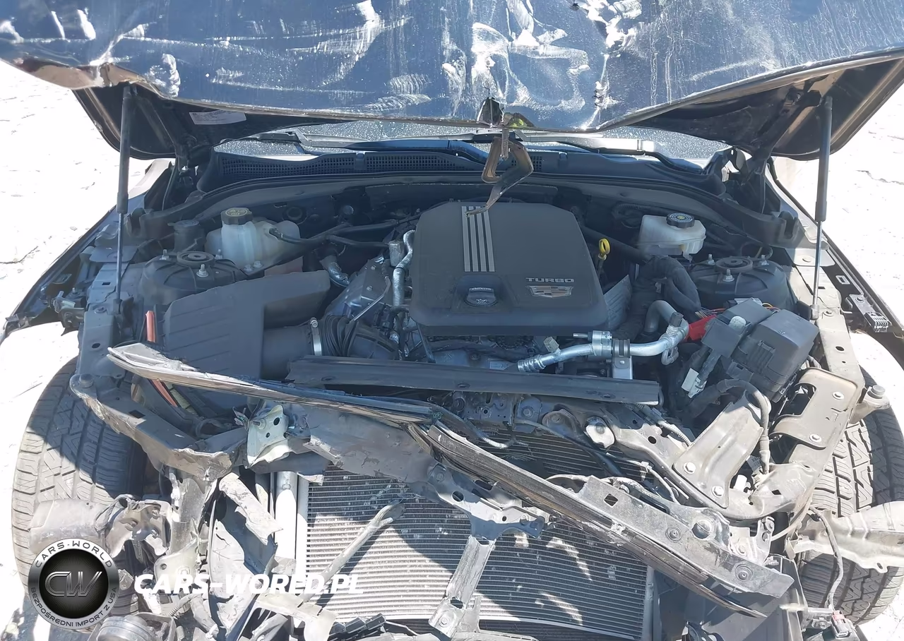 2023 Cadillac Ct4 Luxury VIN:1G6DJ5RK8P0156333 - 10