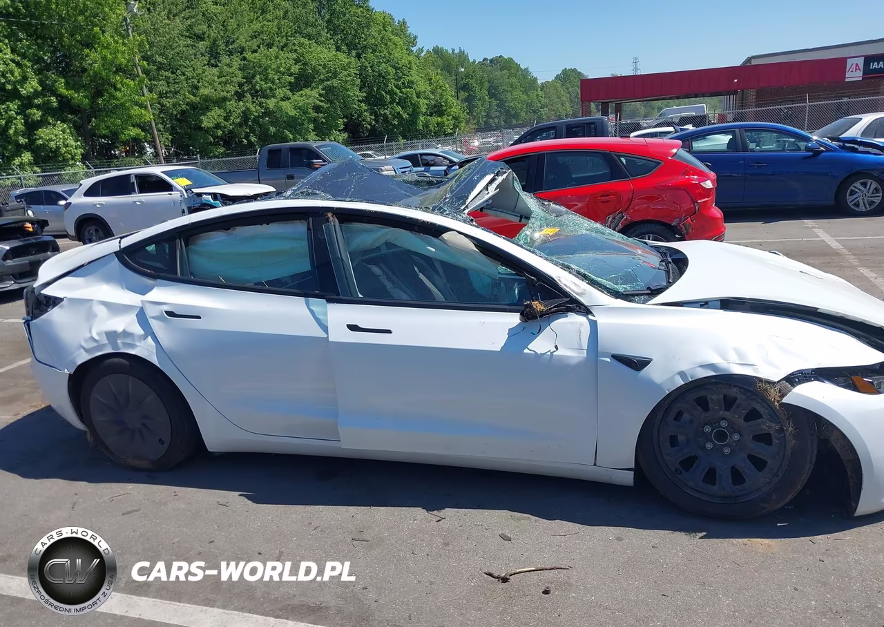2025 Tesla Model 3 Long Range Rear-Wheel Drive-Standard Rear-Wheel Drive VIN:5YJ3E1EAXSF135108 - 12