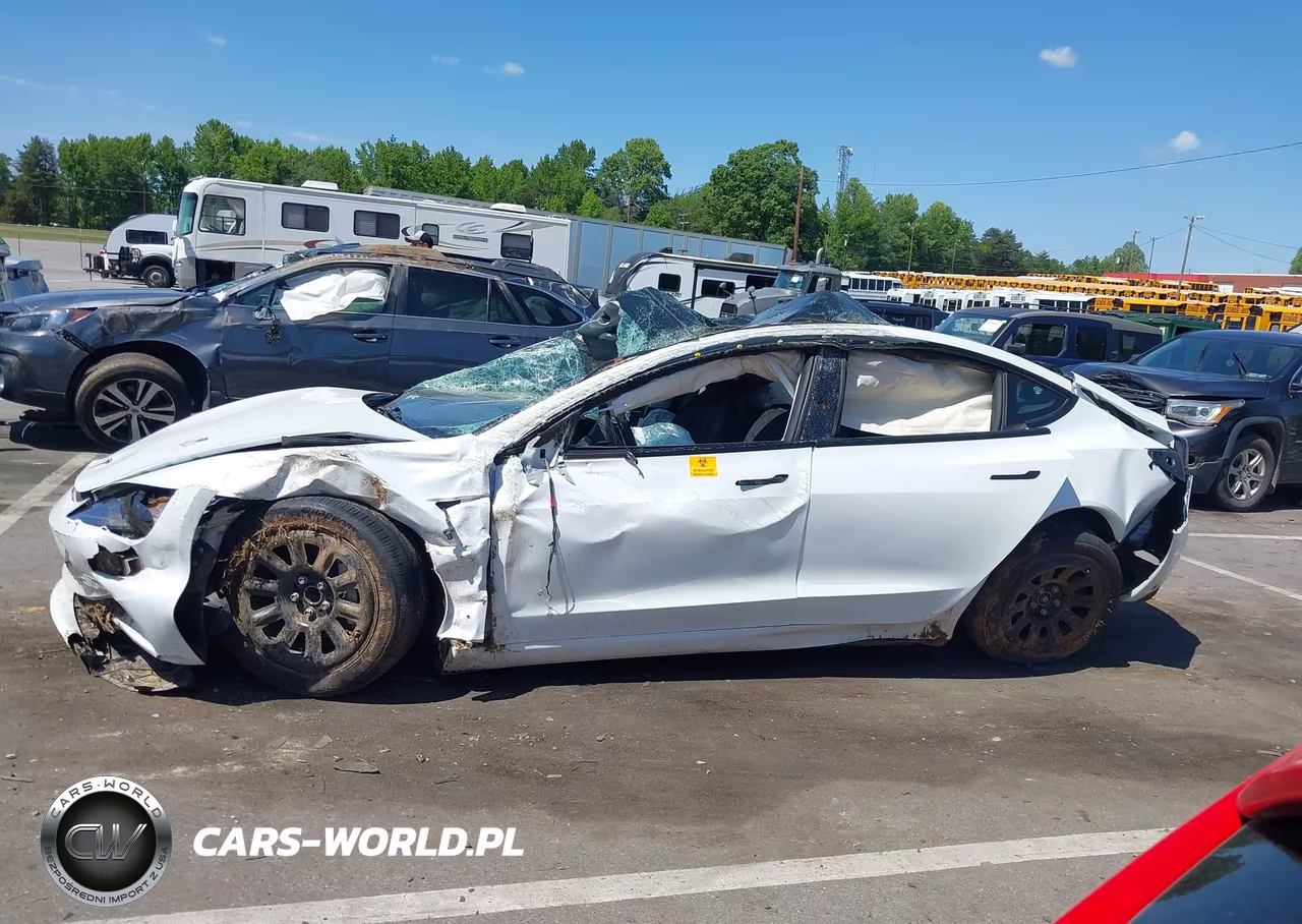 2025 Tesla Model 3 Long Range Rear-Wheel Drive-Standard Rear-Wheel Drive VIN:5YJ3E1EAXSF135108 - 13