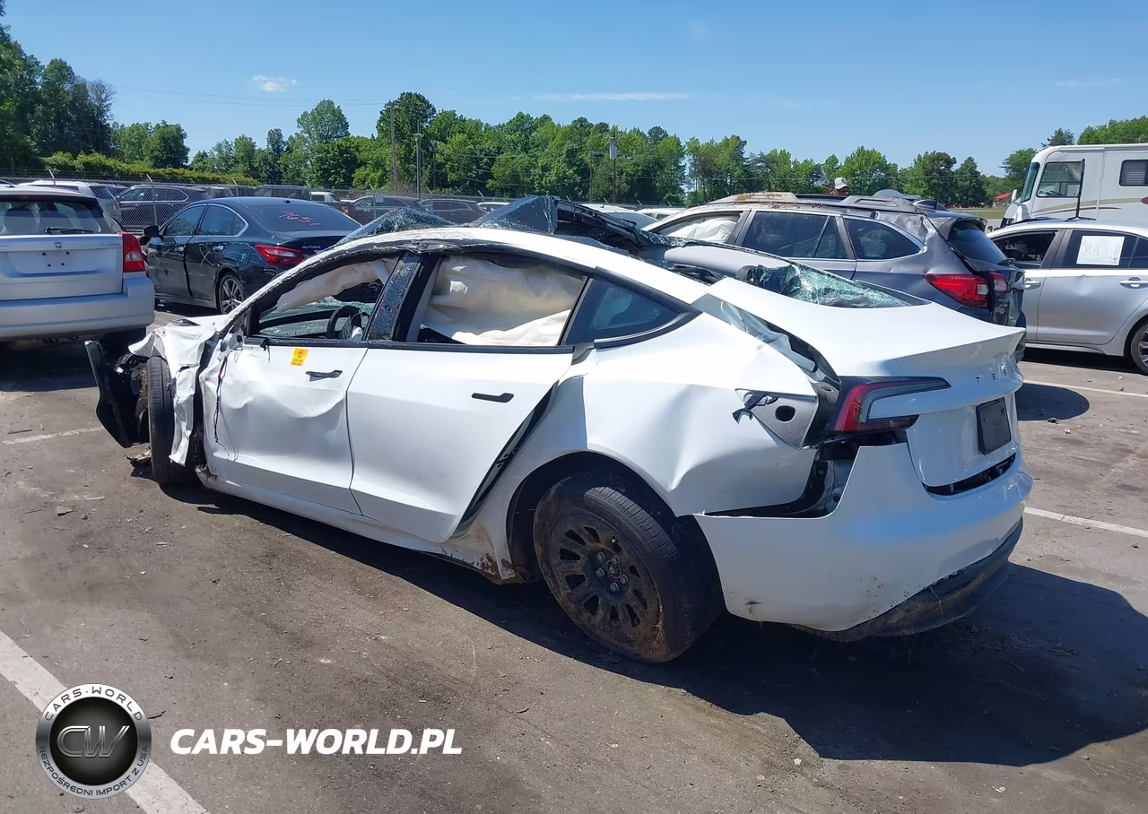 2025 Tesla Model 3 Long Range Rear-Wheel Drive-Standard Rear-Wheel Drive VIN:5YJ3E1EAXSF135108 - 3