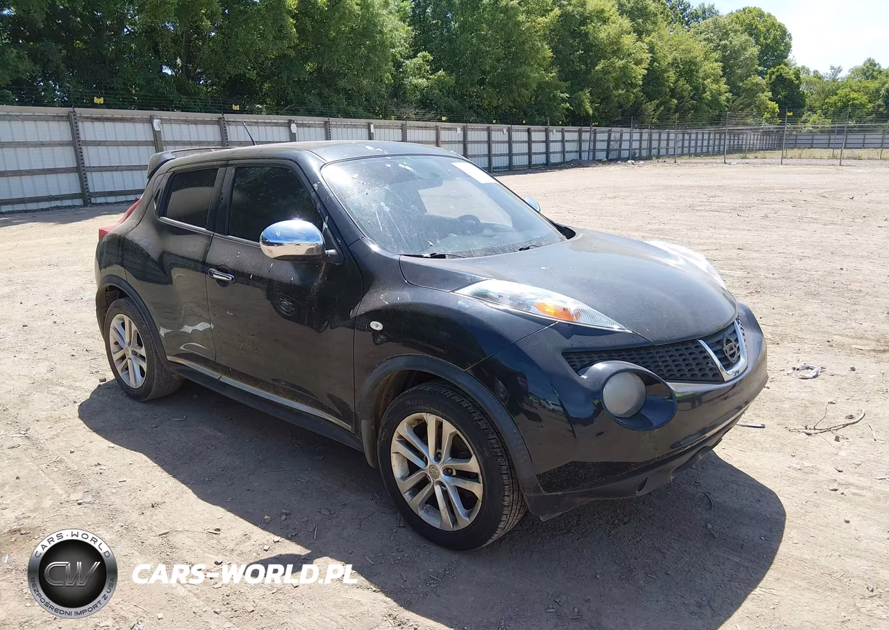 Główne zdjęcie 2013 Nissan Juke Sv